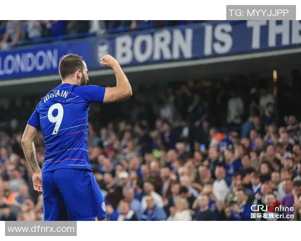 坎特：从篮球场上的巨星到社会运动的先锋，探索他的影响力与人生哲学