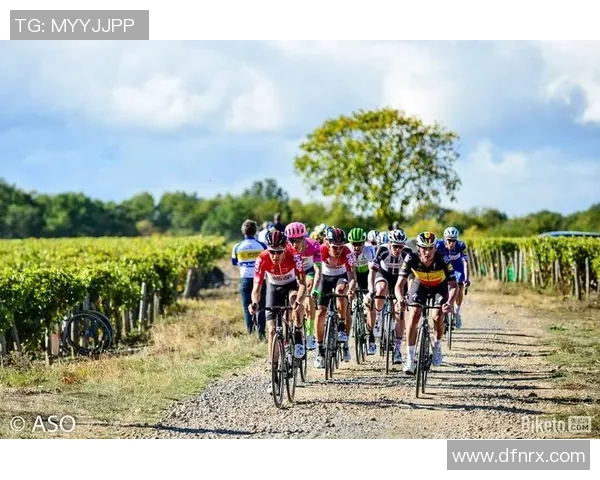 斯特拉与图尔的精彩对决分析及赛季表现回顾