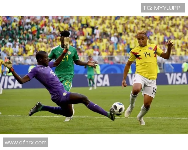 美国与巴西足球对决视频直播全程回顾与精彩瞬间分析